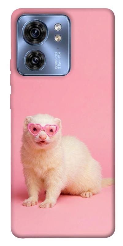 Чехол itsPrint Белый хорёк для Motorola Edge 40, животные, купить оптом с доставкой