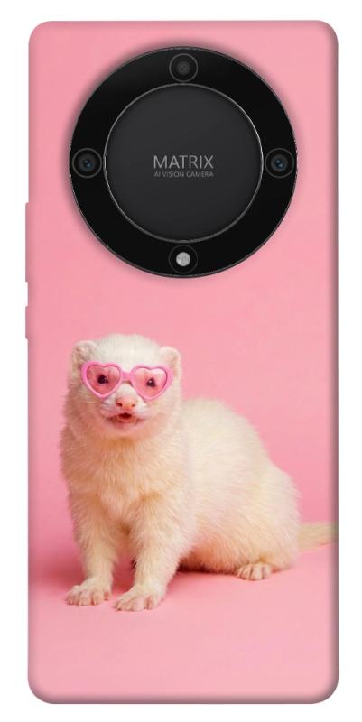 Чехол itsPrint Белый хорёк для Huawei Magic5 Lite, животные, купить оптом с доставкой