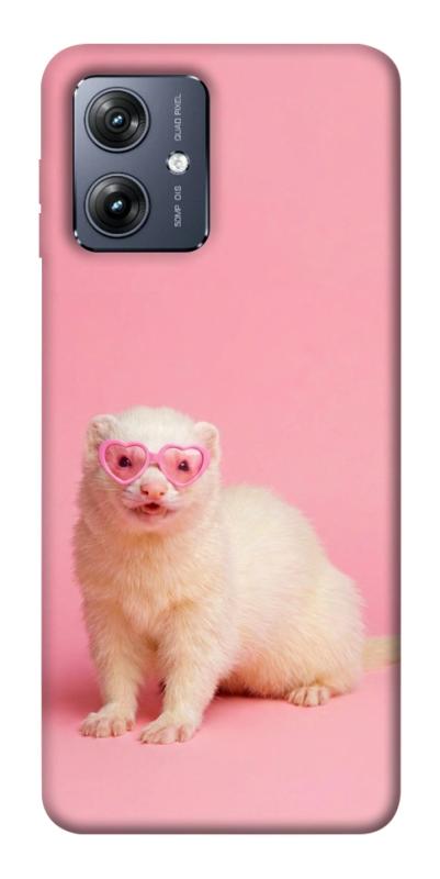 Чехол itsPrint Белый хорёк для Motorola Moto G54, животные, купить оптом с доставкой