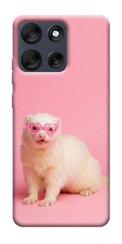 Чехол itsPrint Белый хорёк для Motorola Moto G56 5G, животные, купить оптом с доставкой