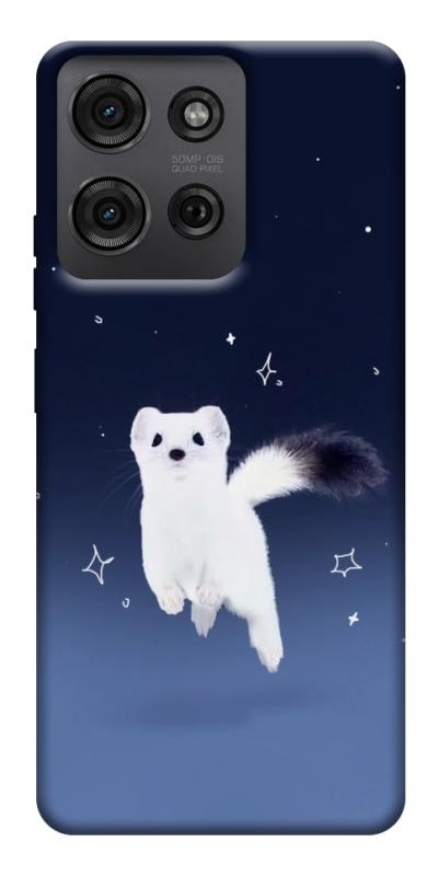 Чехол itsPrint Хорёк в снегу для Motorola Moto G75 5G, животные, купить оптом с доставкой
