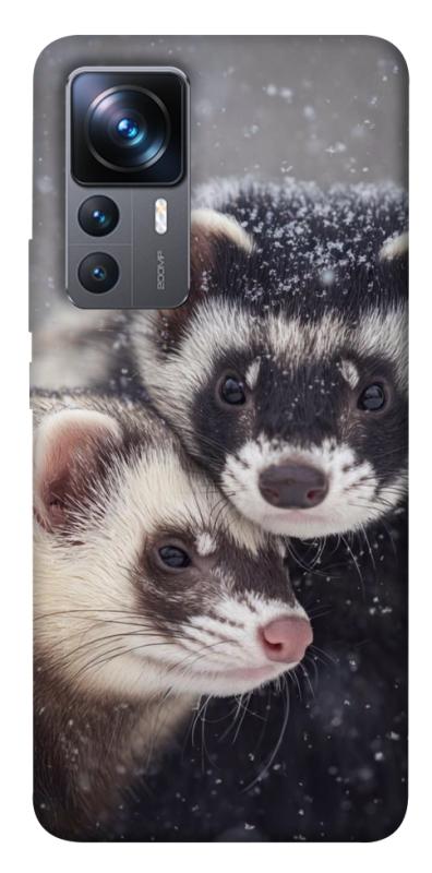 Чехол itsPrint Хорьки для Xiaomi 12T / 12T Pro, животные, купить оптом с доставкой
