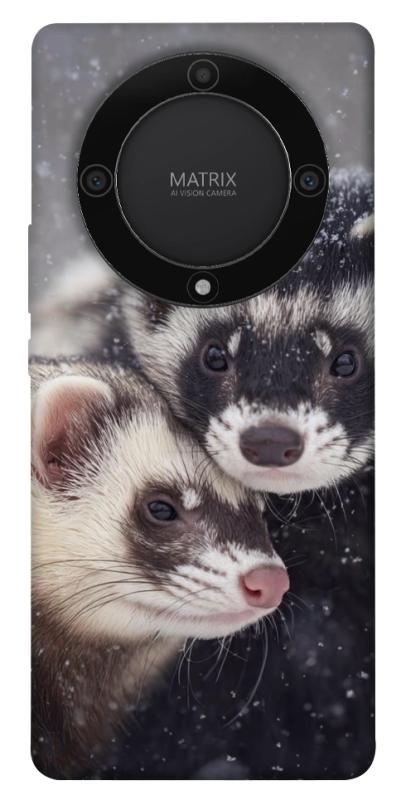 Чехол itsPrint Хорьки для Huawei Magic5 Lite, животные, купить оптом с доставкой