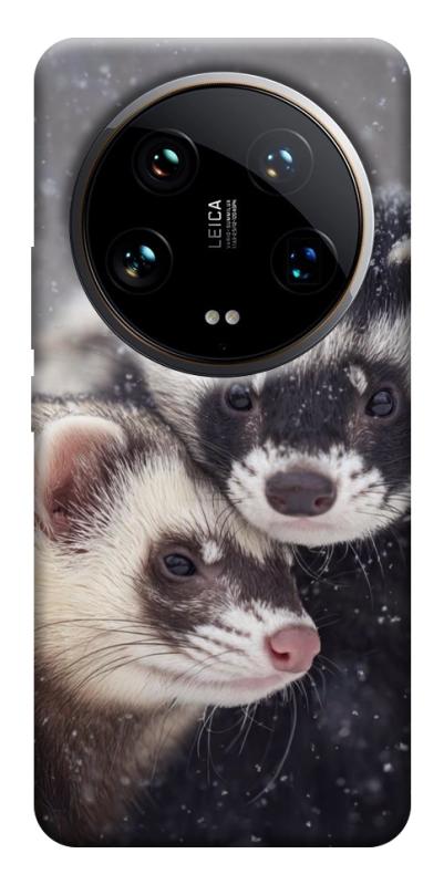 Чехол itsPrint Хорьки для Xiaomi 14 Ultra, животные, купить оптом с доставкой
