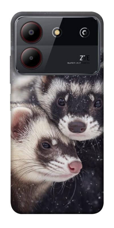 Чехол itsPrint Хорьки для ZTE Blade A54 4G, животные, купить оптом с доставкой