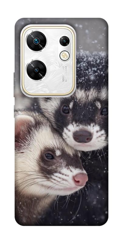 Чехол itsPrint Хорьки для Infinix Zero 30 4G, животные, купить оптом с доставкой
