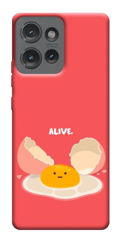Чехол itsPrint Alive Egg для Motorola Edge 50, еда, купить оптом с доставкой