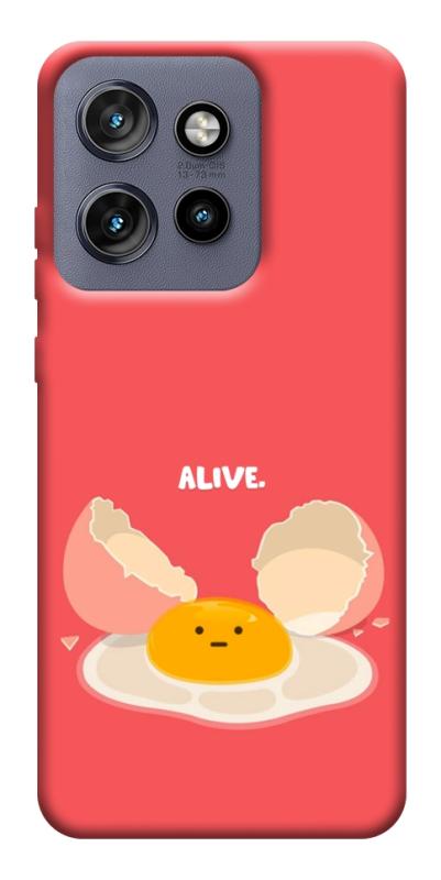Чехол itsPrint Alive Egg для Motorola Edge 50 Neo, еда, купить оптом с доставкой