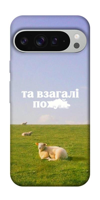 Чохол itsPrint Та взагалі.... для Google Pixel 9 Pro XL, написи, купити оптом з доставкою