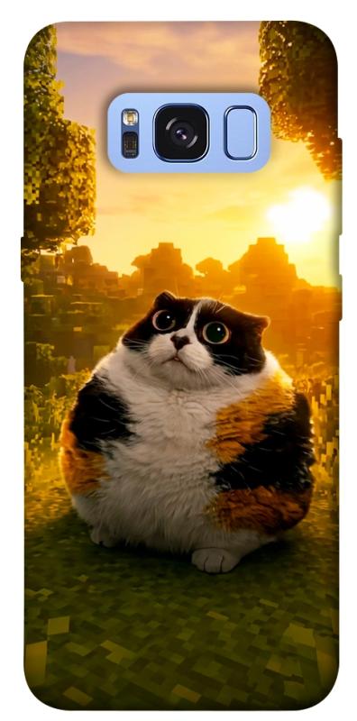 Чохол itsPrint Котость для Samsung G950 Galaxy S8, меми, купити оптом з доставкою