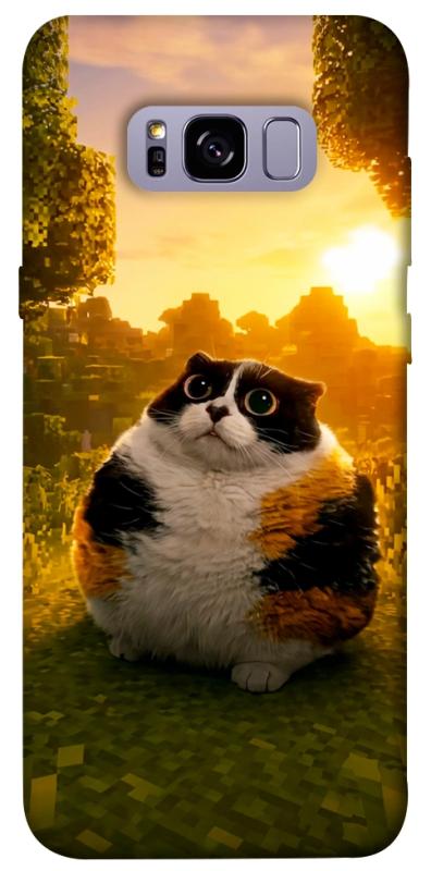 Чохол itsPrint Котость для Samsung G955 Galaxy S8 Plus, меми, купити оптом з доставкою