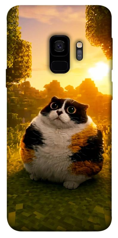 Чохол itsPrint Котость для Samsung Galaxy S9, меми, купити оптом з доставкою