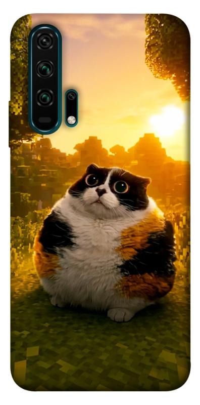 Чохол itsPrint Котость для Huawei Honor 20 Pro, меми, купити оптом з доставкою