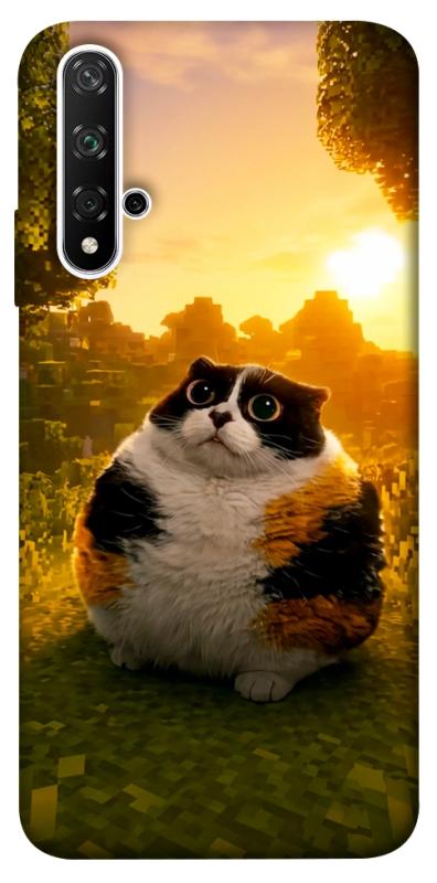 Чохол itsPrint Котость для Huawei Honor 20 / Nova 5T, меми, купити оптом з доставкою