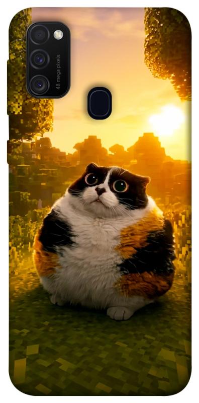 Чохол itsPrint Котость для Samsung Galaxy M30s / M21, меми, купити оптом з доставкою