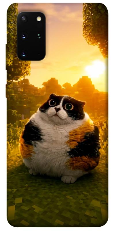Чохол itsPrint Котость для Samsung Galaxy S20+, меми, купити оптом з доставкою