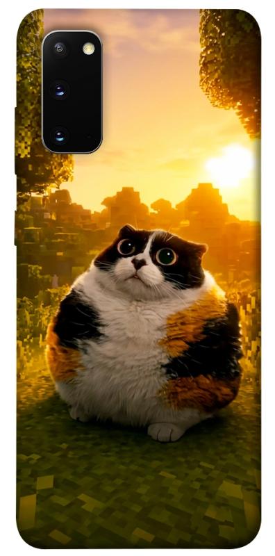 Чохол itsPrint Котость для Samsung Galaxy S20, меми, купити оптом з доставкою