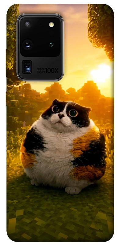 Чохол itsPrint Котость для Samsung Galaxy S20 Ultra, меми, купити оптом з доставкою