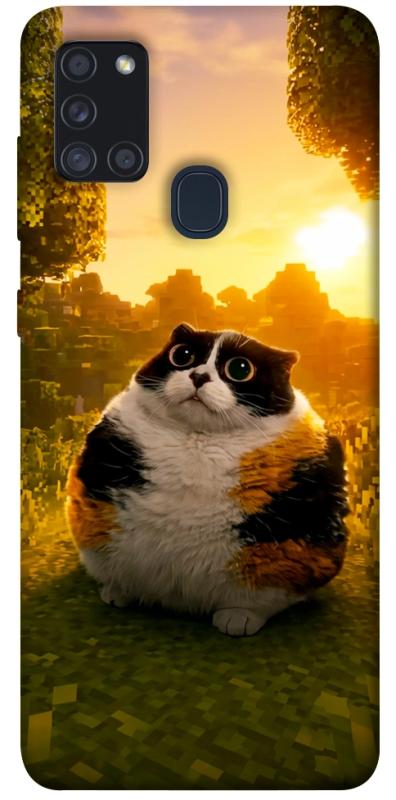 Чохол itsPrint Котость для Samsung Galaxy A21s, меми, купити оптом з доставкою