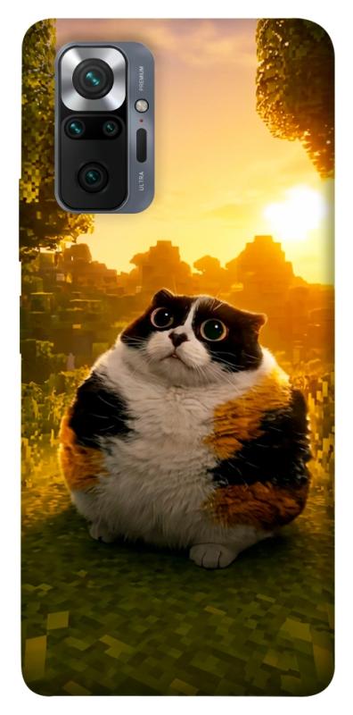 Чохол itsPrint Котость для Xiaomi Redmi Note 10 Pro, меми, купити оптом з доставкою