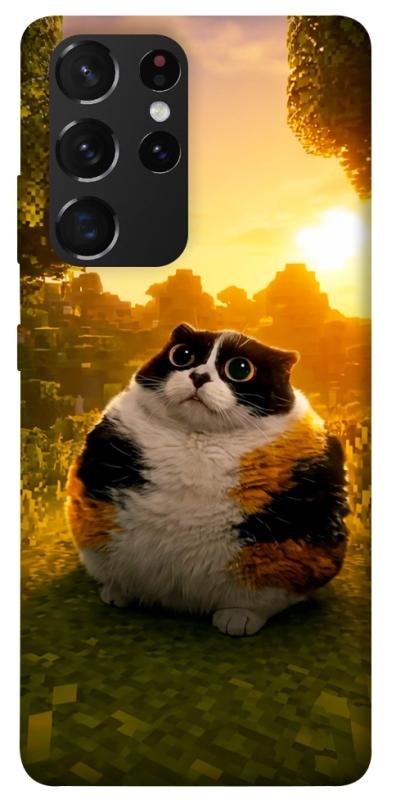 Чохол itsPrint Котость для Samsung Galaxy S21 Ultra, меми, купити оптом з доставкою