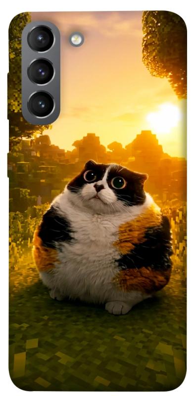 Чохол itsPrint Котость для Samsung Galaxy S21, меми, купити оптом з доставкою