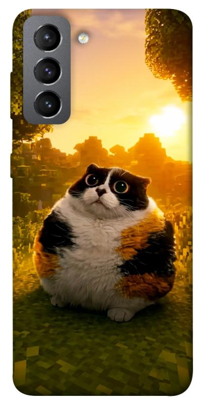 Чохол itsPrint Котость для Samsung Galaxy S21 FE, меми, купити оптом з доставкою
