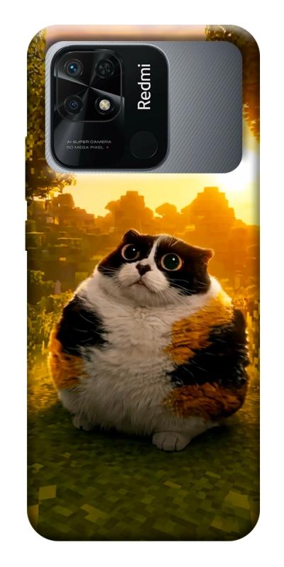 Чохол itsPrint Котость для Xiaomi Redmi 10C, меми, купити оптом з доставкою