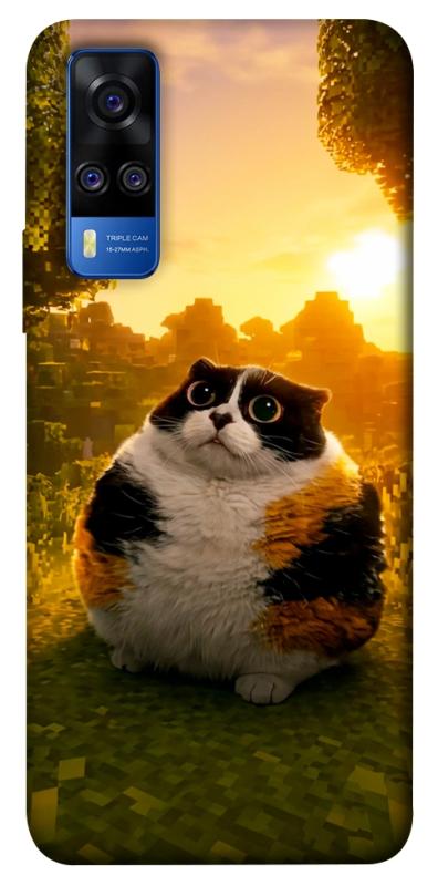 Чохол itsPrint Котость для Vivo Y51a, меми, купити оптом з доставкою