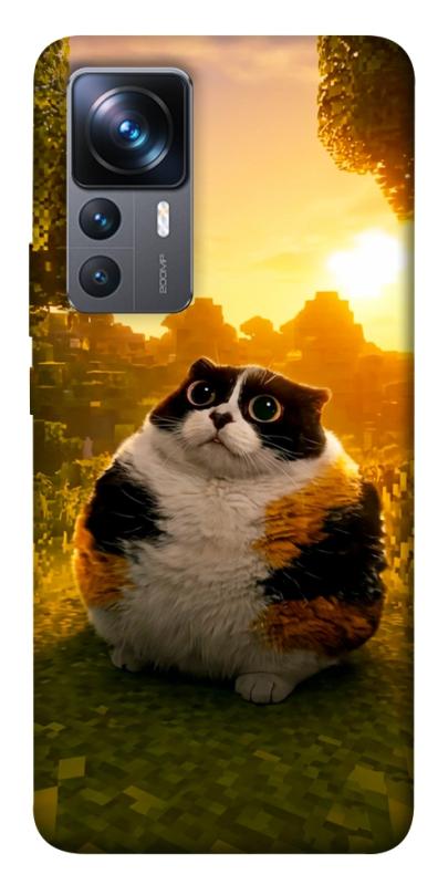 Чохол itsPrint Котость для Xiaomi 12T / 12T Pro, меми, купити оптом з доставкою