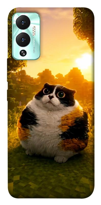 Чохол itsPrint Котость для Infinix Hot 12 Play, меми, купити оптом з доставкою