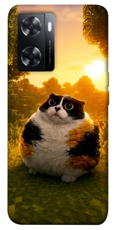 Чохол itsPrint Котость для Oppo A57s, меми, купити оптом з доставкою
