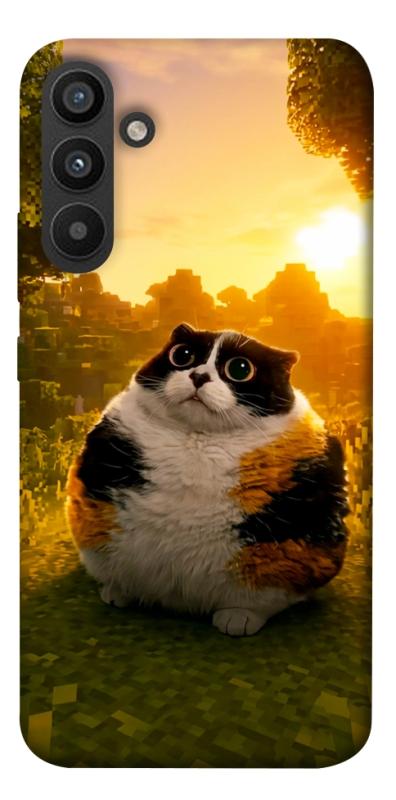 Чохол itsPrint Котость для Samsung Galaxy A34 5G, меми, купити оптом з доставкою