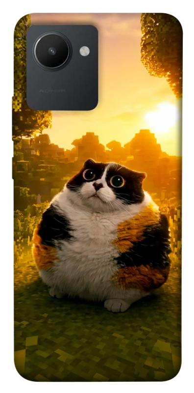 Чохол itsPrint Котость для Realme C30s, меми, купити оптом з доставкою