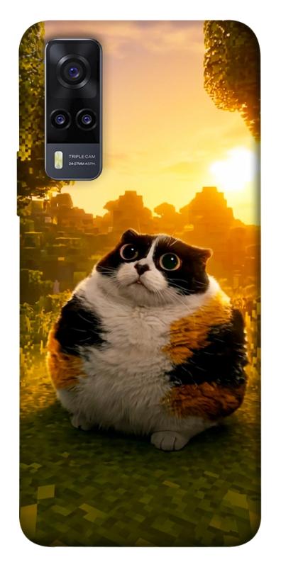 Чохол itsPrint Котость для Vivo Y31, меми, купити оптом з доставкою