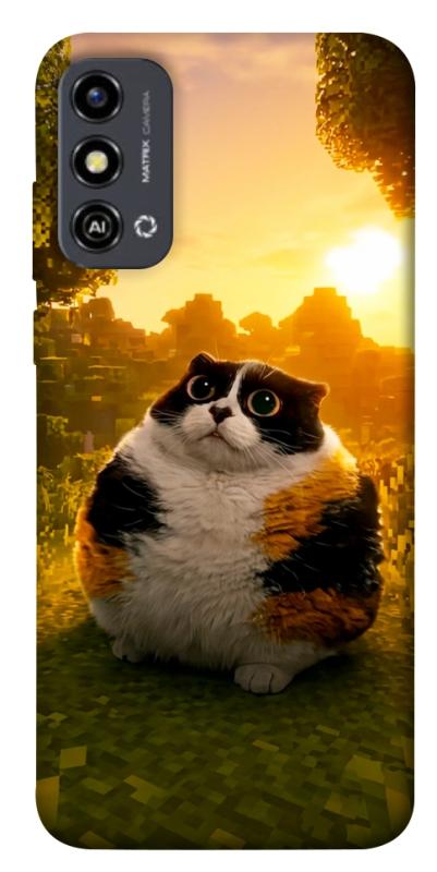 Чохол itsPrint Котость для ZTE Blade A53, меми, купити оптом з доставкою