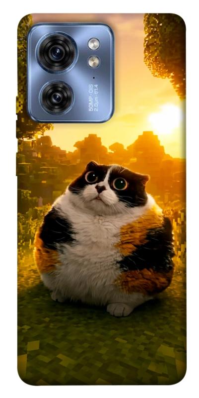Чохол itsPrint Котость для Motorola Edge 40, меми, купити оптом з доставкою