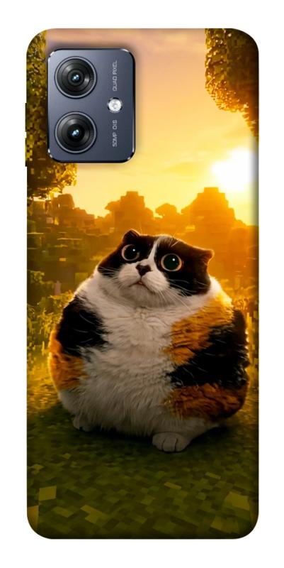 Чохол itsPrint Котость для Motorola Moto G54, меми, купити оптом з доставкою