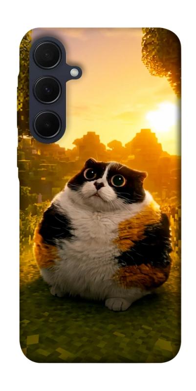 Чохол itsPrint Котость для Samsung Galaxy A35, меми, купити оптом з доставкою