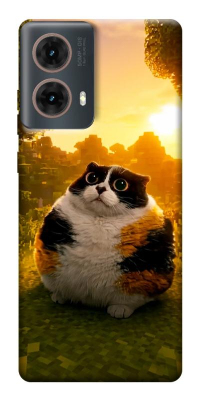 Чохол itsPrint Котость для Motorola Moto G85, меми, купити оптом з доставкою