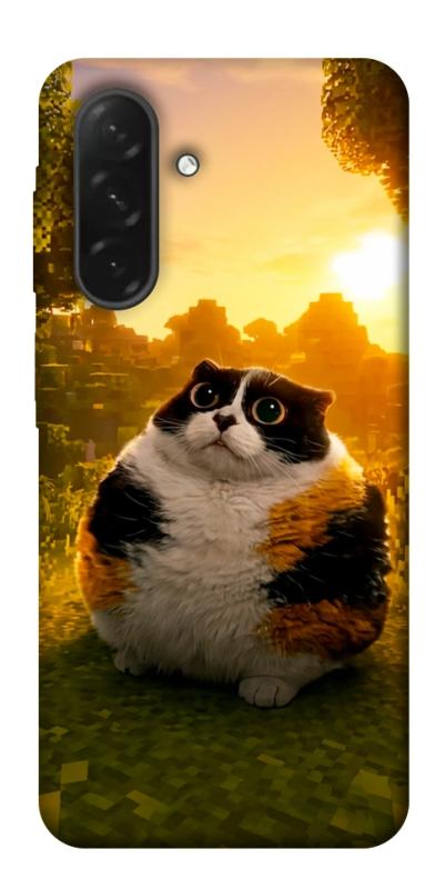 Чохол itsPrint Котость для Samsung Galaxy A26 5G, меми, купити оптом з доставкою
