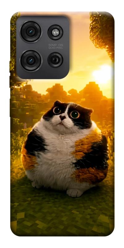 Чохол itsPrint Котость для Motorola Moto G75 5G, меми, купити оптом з доставкою