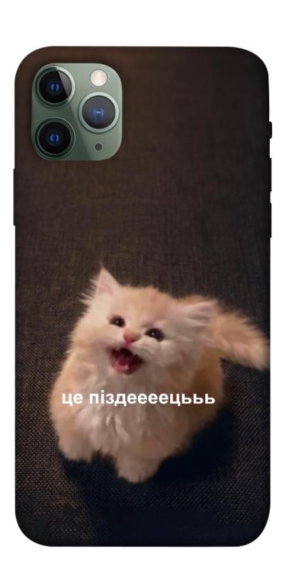 Чохол itsPrint Все пропало для Apple iPhone 11 Pro (5.8"), меми, купити оптом з доставкою
