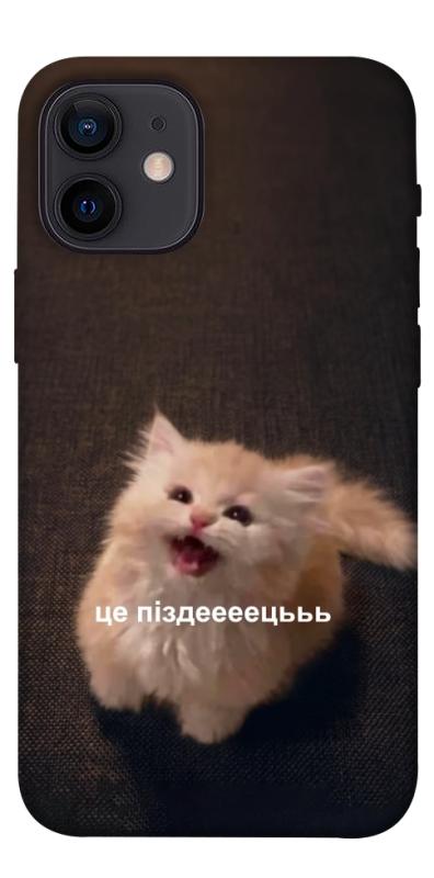 Чохол itsPrint Все пропало для Apple iPhone 12 mini (5.4"), меми, купити оптом з доставкою
