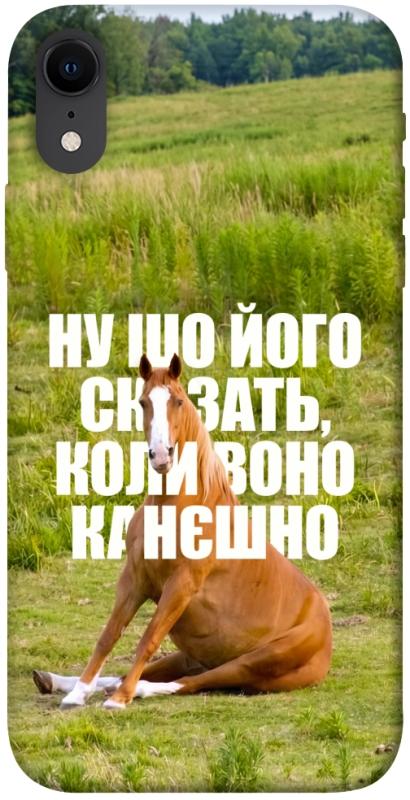 Чохол itsPrint Horse sitting для Apple iPhone XR (6.1"), меми, купити оптом з доставкою