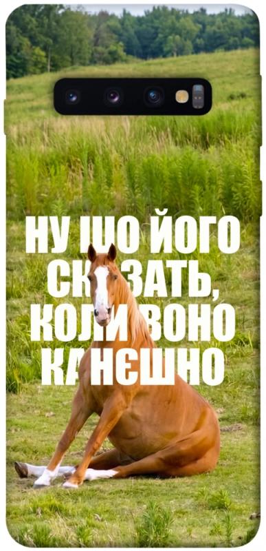 Чохол itsPrint Horse sitting для Samsung Galaxy S10, меми, купити оптом з доставкою