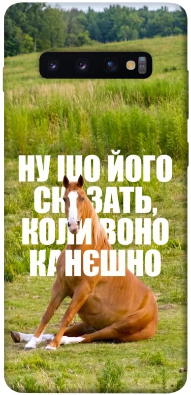 Чохол itsPrint Horse sitting для Samsung Galaxy S10+, меми, купити оптом з доставкою