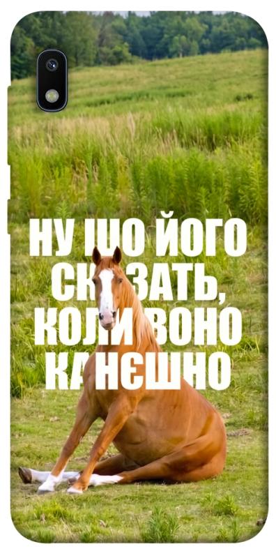 Чохол itsPrint Horse sitting для Samsung Galaxy A10 (A105F), меми, купити оптом з доставкою