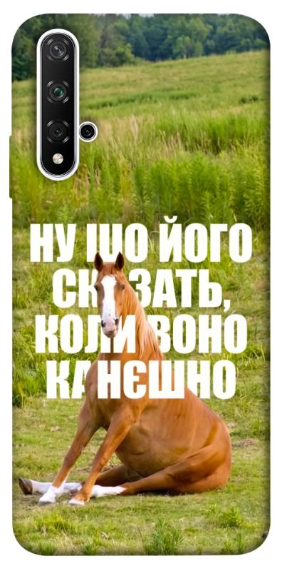 Чохол itsPrint Horse sitting для Huawei Honor 20 / Nova 5T, меми, купити оптом з доставкою