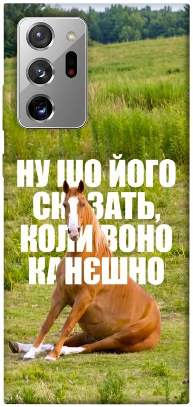 Чохол itsPrint Horse sitting для Samsung Galaxy Note 20 Ultra, меми, купити оптом з доставкою